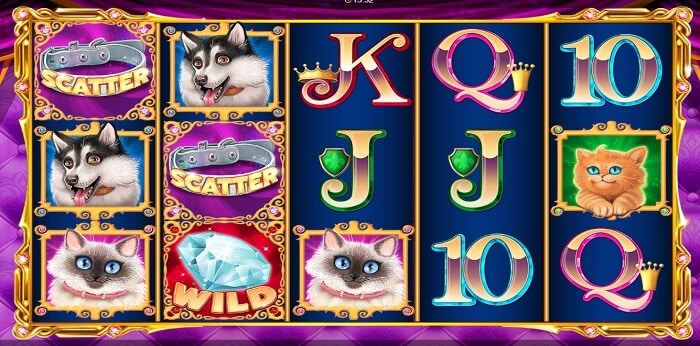 CQ9 Hollywood Pets slot game 2