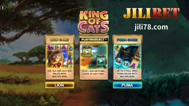 Slot Game Review ng :King of Cats 3 JILIBET Online-Slot2